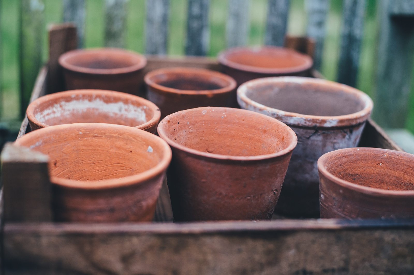 Clay Pots