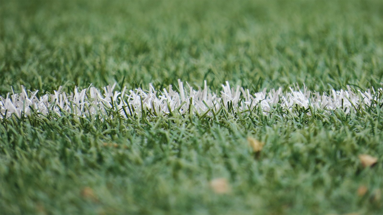 The FootBlog: How My Obsession with Football Hurt My Soul
